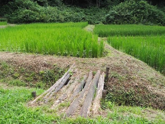 小山田緑地周辺_c0284923_09361859.jpg