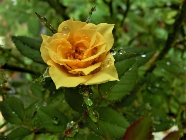 f0354923_00591748.jpg