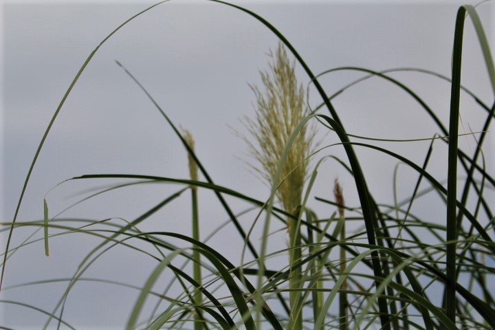 f0354923_20500220.jpg