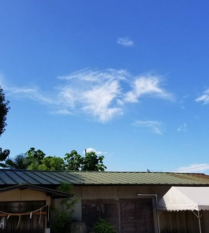 b0198126_13390796.jpg