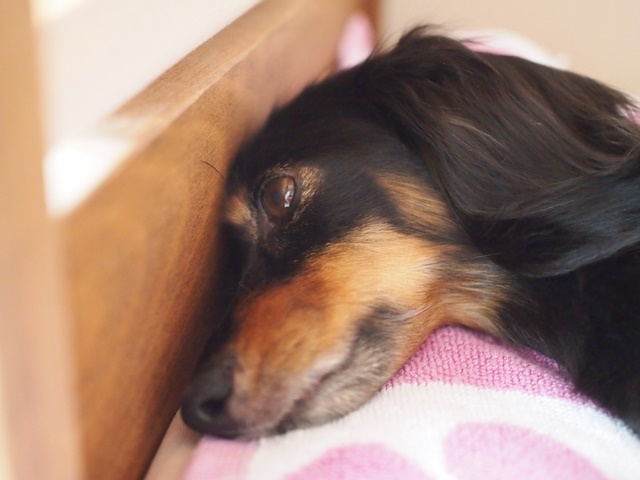 c0117831_14380230.jpg