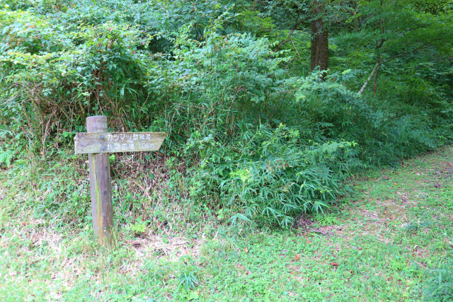 e0272335_1731350.jpg