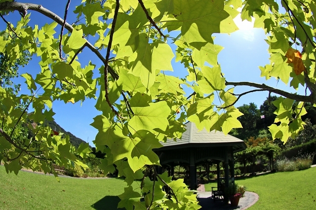 a0242438_23191580.jpg