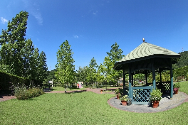 a0242438_23202820.jpg