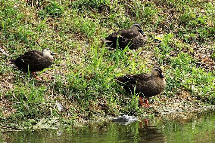 a0143839_19221230.jpg