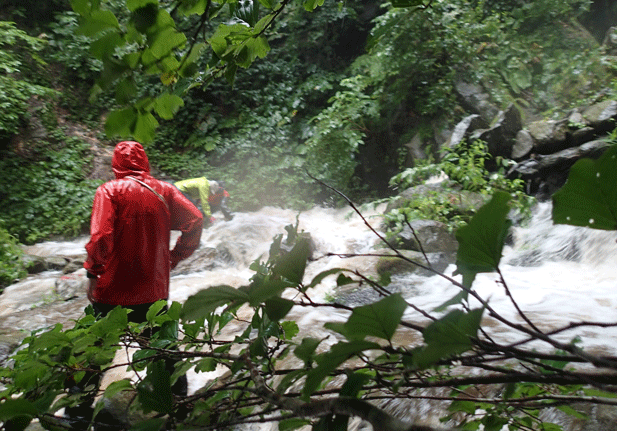 e0371039_17325666.gif