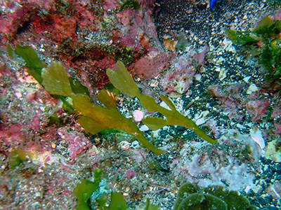 b0189640_17314592.jpg
