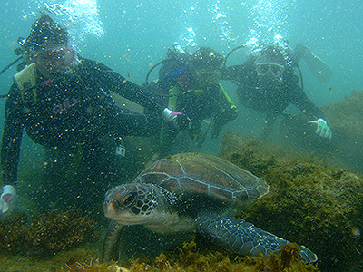 b0189640_17334845.jpg