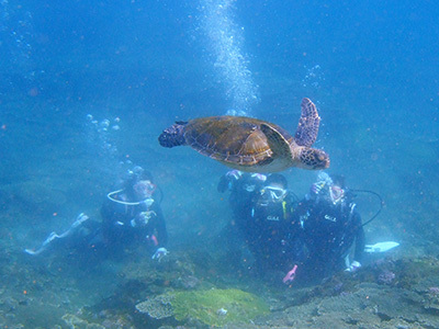 b0189640_17354929.jpg