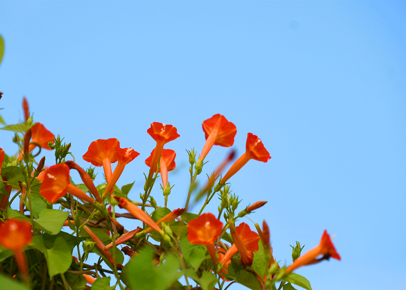 d0290240_11023888.gif