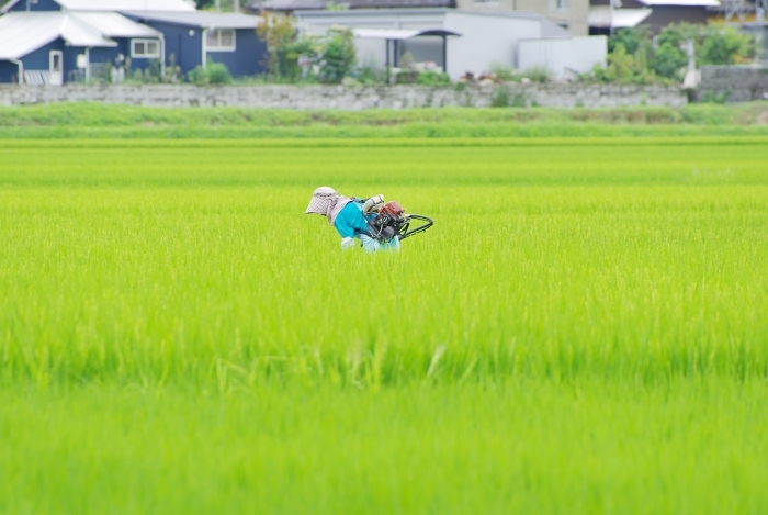 c0281841_13255176.jpg