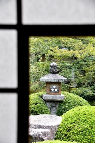 上洛 本命Ⅲ 雲龍院_b0314043_22175788.jpg