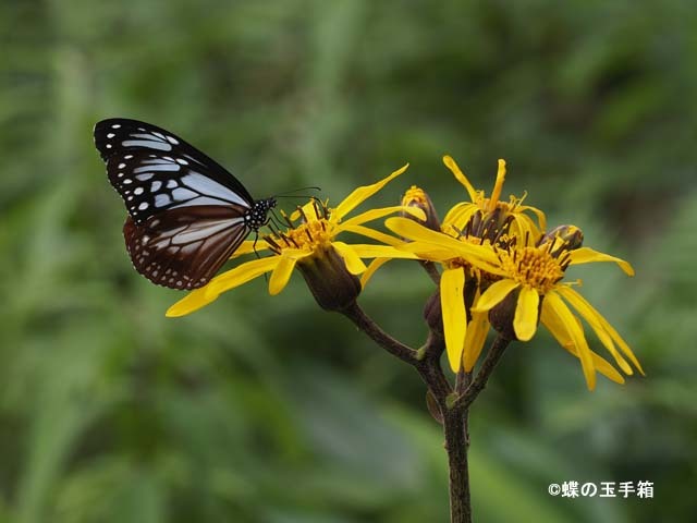 b0107948_23085872.jpg