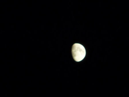b0002549_22315769.jpg