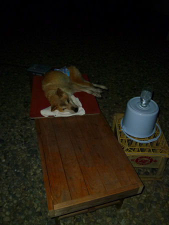 b0002549_22322374.jpg