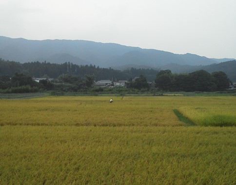 上石津にちょっと_f0197754_01260020.jpg