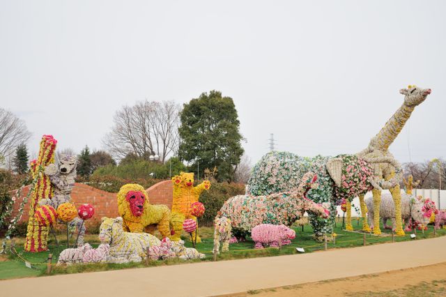 花でできた動物たち_c0081462_20061583.jpg