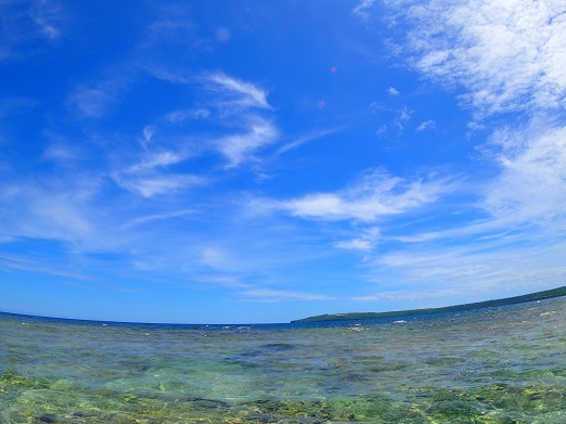 e0132965_16343804.jpg