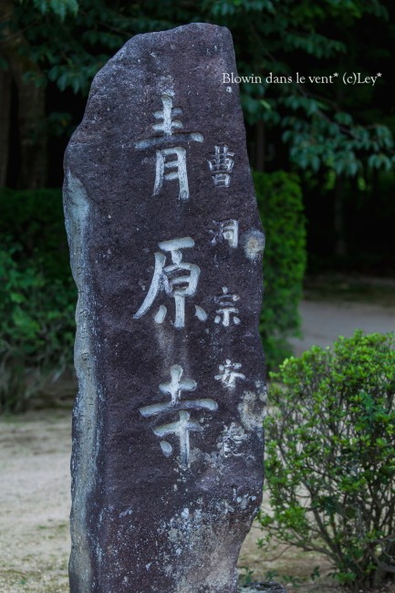 f0251765_2050303.jpg