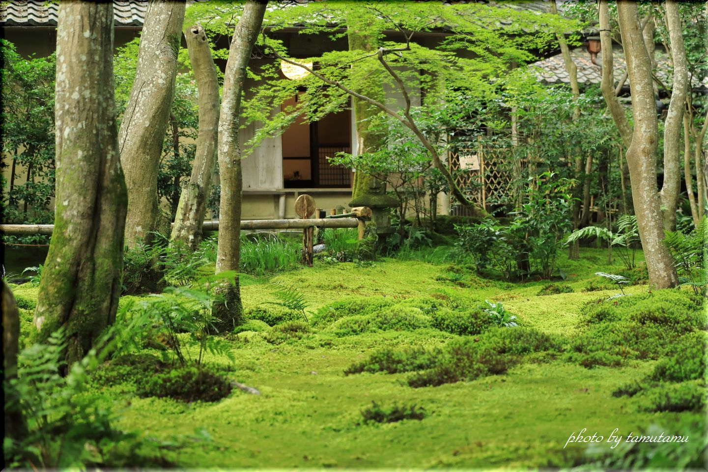 京都嵯峨野にて　～祇王寺～_e0351179_20434737.jpg