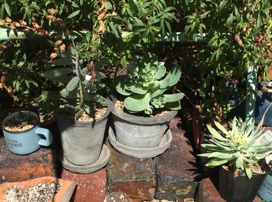 b0336787_23205756.jpeg