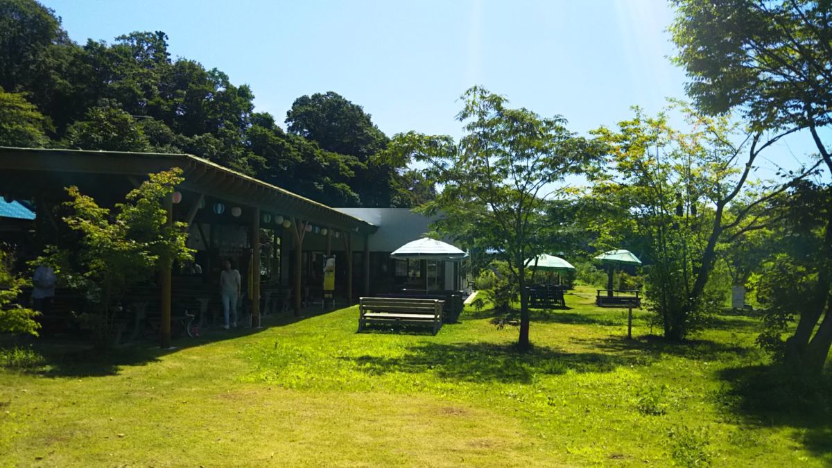 a0011690_15490119.jpg
