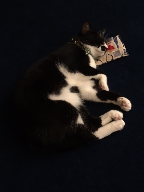 d0360391_20450399.jpeg