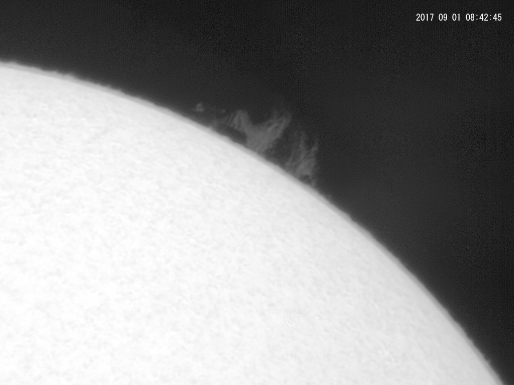 9月1日の太陽_e0174091_17004184.jpg