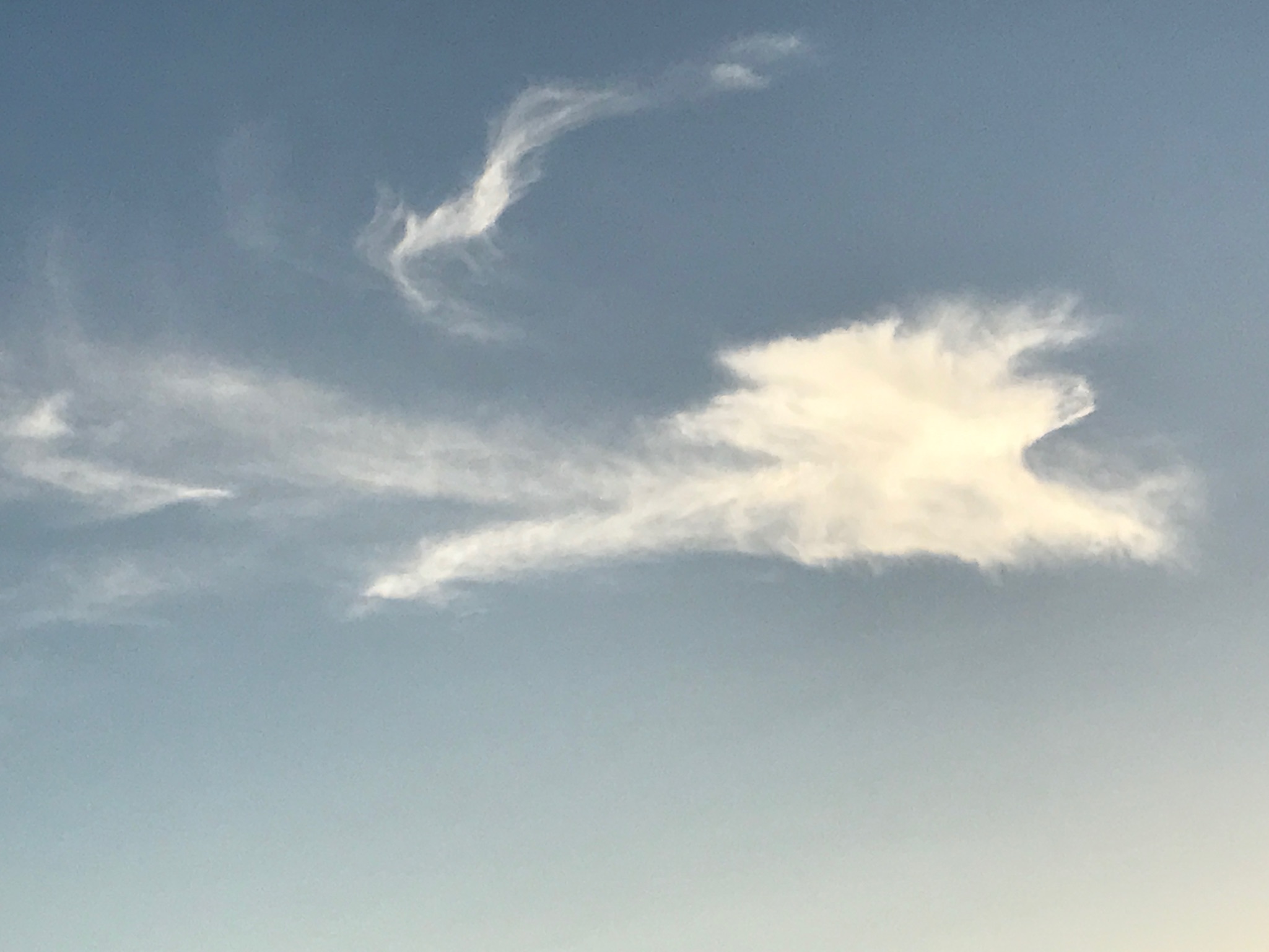 f0347891_01151272.jpg