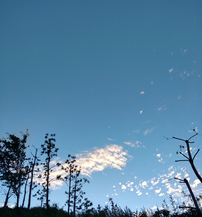 e0224610_13310587.jpg