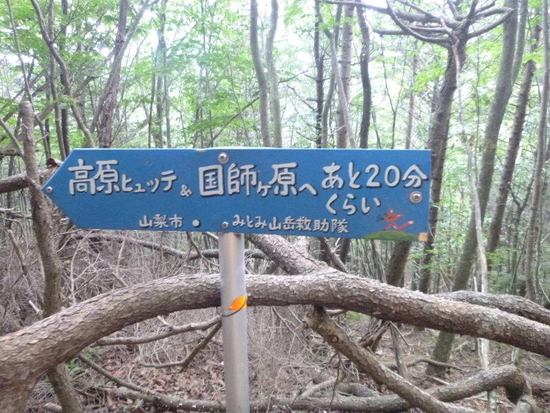 d0170615_13004939.jpg