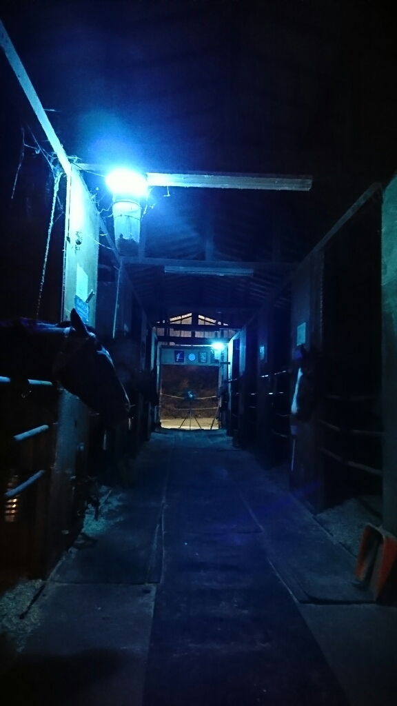 b0187620_20242853.jpg
