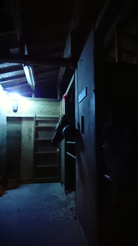 b0187620_20244090.jpg