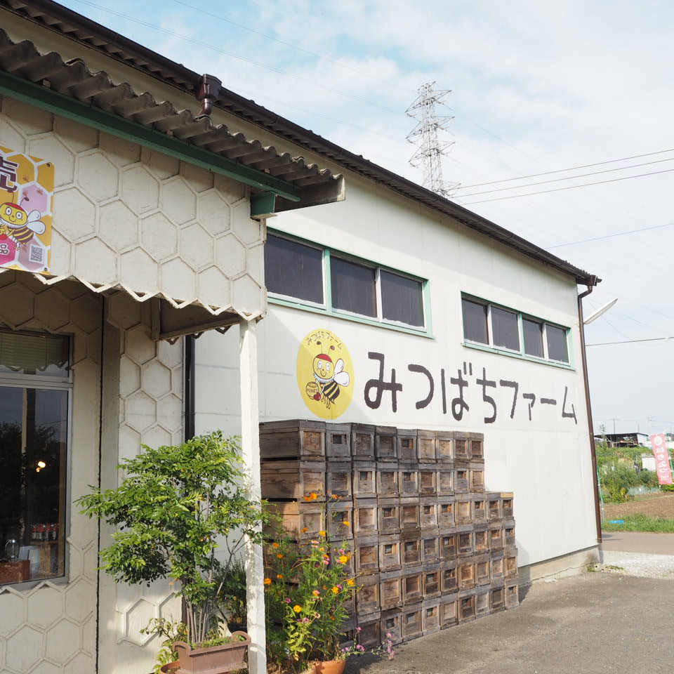 みつばちファーム_b0206421_13381841.jpg