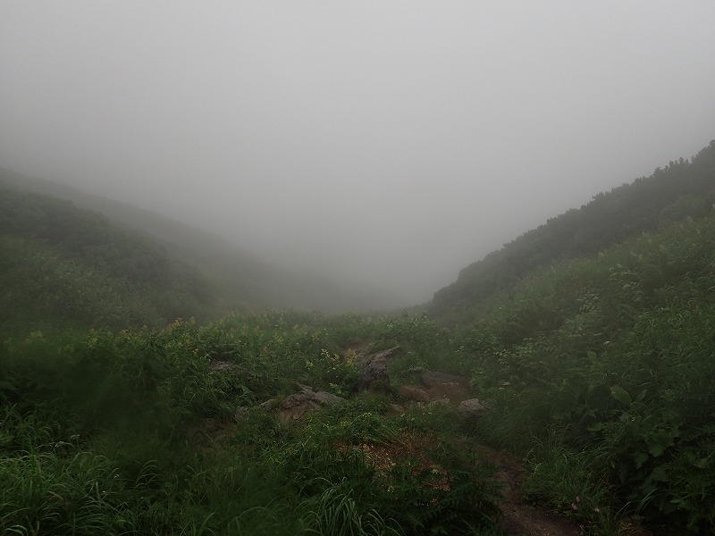 e0284726_7522248.jpg