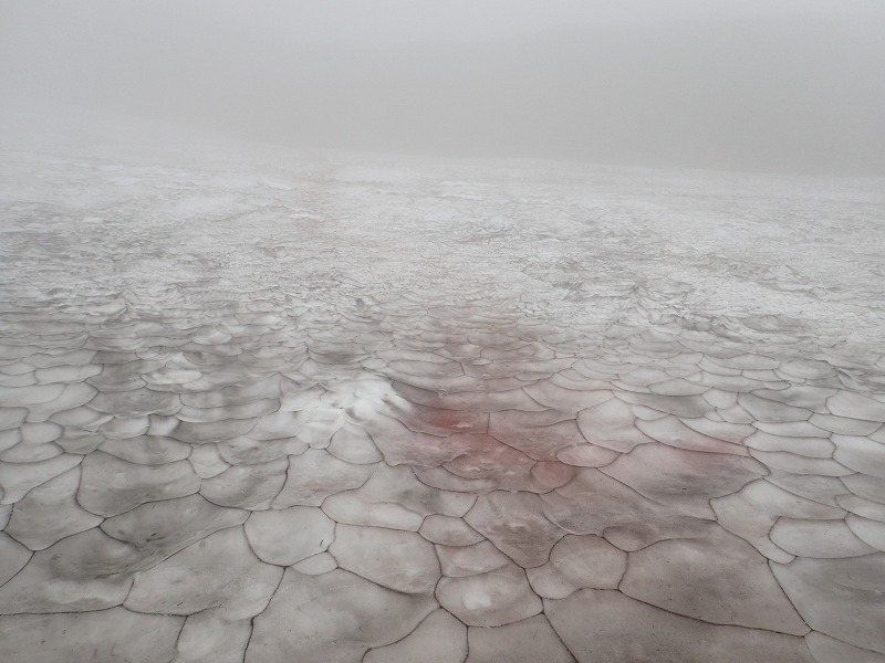 e0284726_7544313.jpg