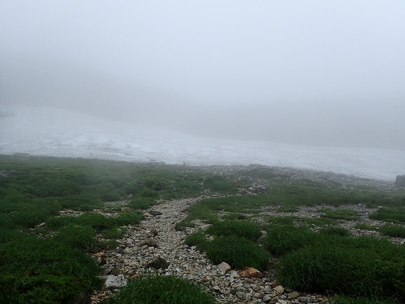 e0284726_755279.jpg