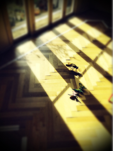 a0226127_16150819.png