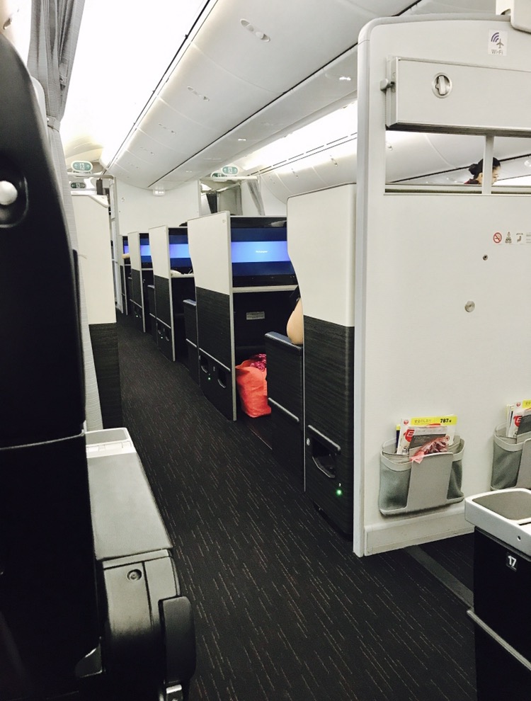 in-flight_a0168628_12444170.jpg