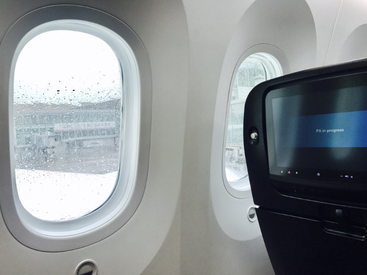 in-flight_a0168628_12444224.jpg