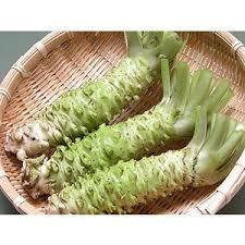 梅田産経学園『フリートーク』April 21st - September 1st 2017 ダイジェスト_c0215031_02151795.jpeg