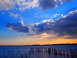 梅田産経学園『フリートーク』April 21st - September 1st 2017 ダイジェスト_c0215031_02175313.jpeg