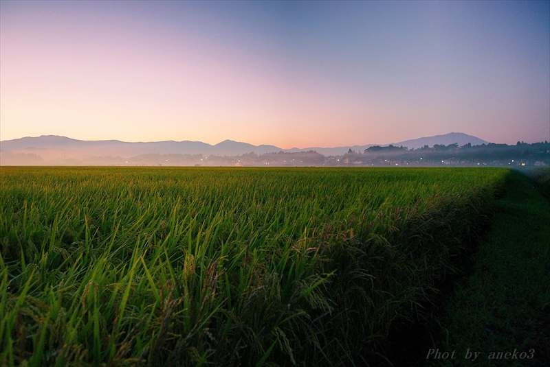 みちのく田園の夕景_d0067934_2053541.jpg