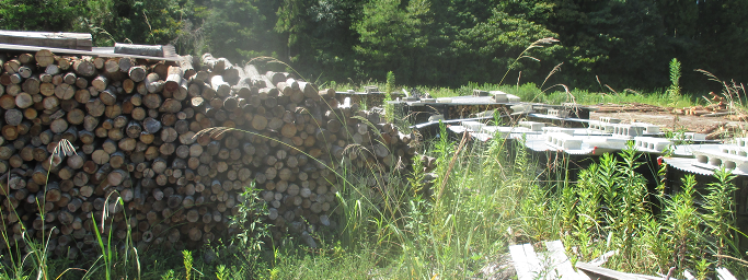 a0051539_16585891.png