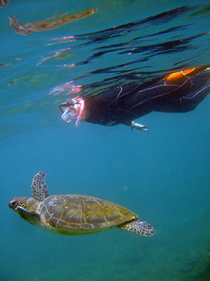 b0189640_13254723.jpg