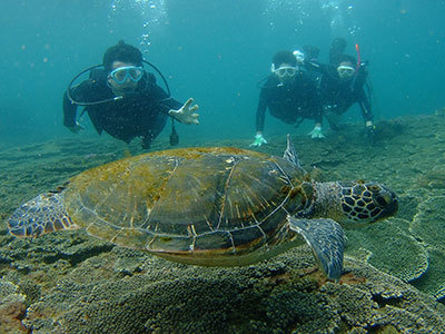 b0189640_13372825.jpg
