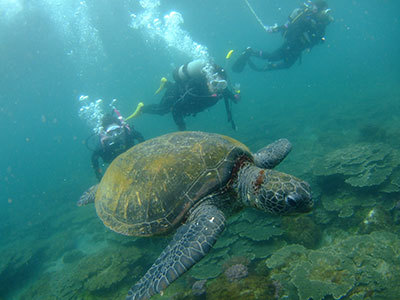 b0189640_13484413.jpg