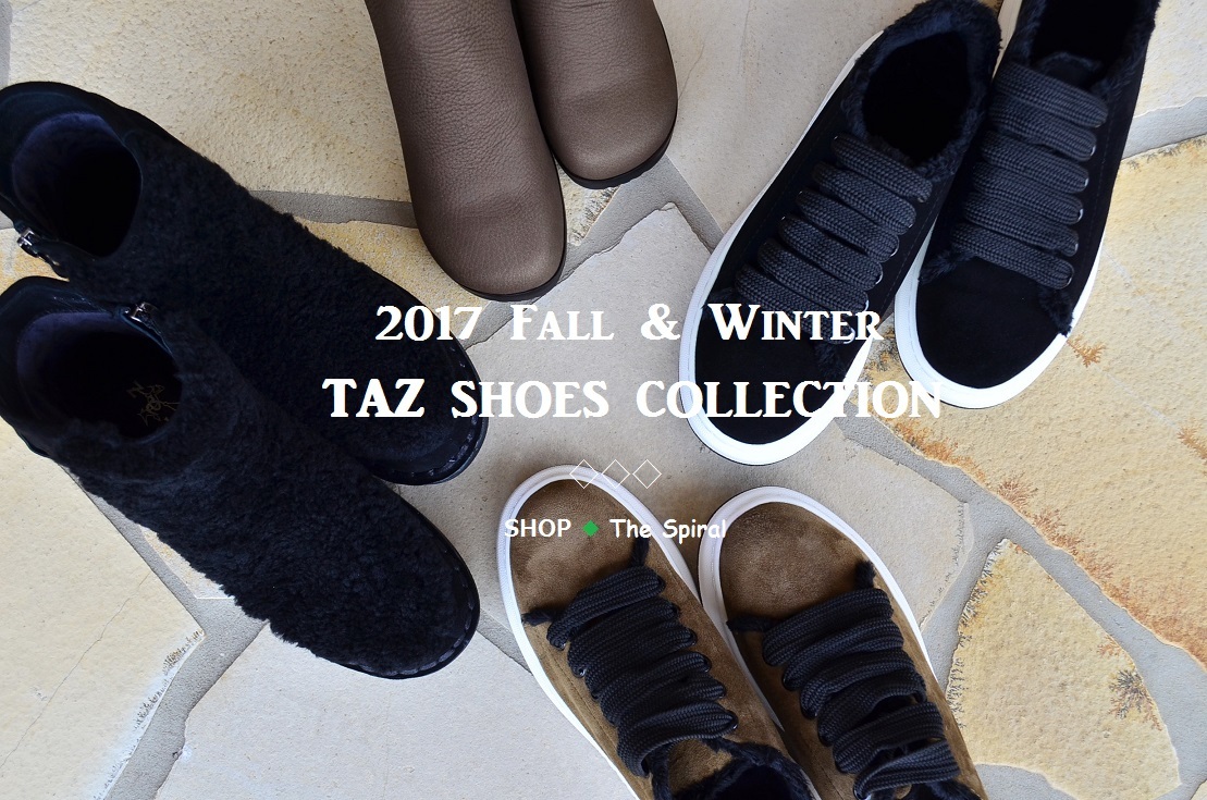”2017 Fall & Winter taz Shoes Collection...9/2sat\"_d0153941_16532023.jpg