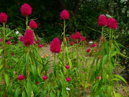 b0002549_13232946.jpg