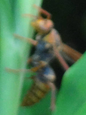 e0033751_17415557.jpg